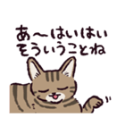 キジトラ猫です（個別スタンプ：17）