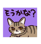 キジトラ猫です（個別スタンプ：20）