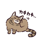 キジトラ猫です（個別スタンプ：21）