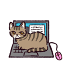 キジトラ猫です（個別スタンプ：23）