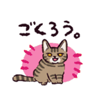 キジトラ猫です（個別スタンプ：24）
