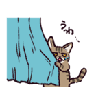 キジトラ猫です（個別スタンプ：26）