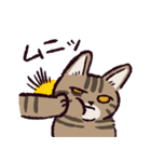 キジトラ猫です（個別スタンプ：27）