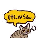 キジトラ猫です（個別スタンプ：28）