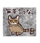 キジトラ猫です（個別スタンプ：29）