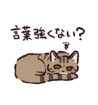 キジトラ猫です（個別スタンプ：32）