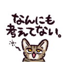 キジトラ猫です（個別スタンプ：35）