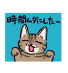 キジトラ猫です（個別スタンプ：37）