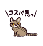 キジトラ猫です（個別スタンプ：38）