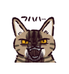 キジトラ猫です（個別スタンプ：39）