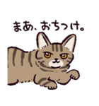 キジトラ猫です（個別スタンプ：40）
