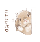 日常使い「垂れ耳うさぎ」スタンプ（個別スタンプ：1）