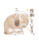 日常使い「垂れ耳うさぎ」スタンプ（個別スタンプ：4）