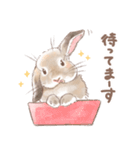 日常使い「垂れ耳うさぎ」スタンプ（個別スタンプ：7）