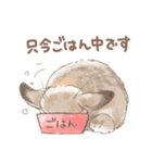日常使い「垂れ耳うさぎ」スタンプ（個別スタンプ：15）