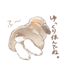 日常使い「垂れ耳うさぎ」スタンプ（個別スタンプ：24）