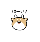 まんまるシカ（文字付き）（個別スタンプ：1）
