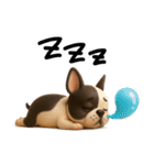 【3D】フレンチブルドック（個別スタンプ：15）