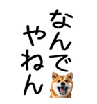 老眼でも見える【関西弁】柴犬（個別スタンプ：4）