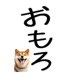 老眼でも見える【関西弁】柴犬（個別スタンプ：11）