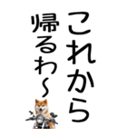 老眼でも見える【関西弁】柴犬（個別スタンプ：14）