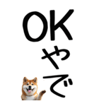 老眼でも見える【関西弁】柴犬（個別スタンプ：17）