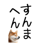 老眼でも見える【関西弁】柴犬（個別スタンプ：22）