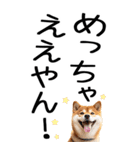 老眼でも見える【関西弁】柴犬（個別スタンプ：28）