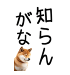 老眼でも見える【関西弁】柴犬（個別スタンプ：29）