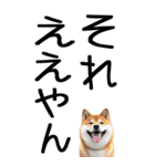 老眼でも見える【関西弁】柴犬（個別スタンプ：32）