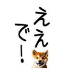 老眼でも見える【関西弁】柴犬（個別スタンプ：36）