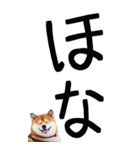 老眼でも見える【関西弁】柴犬（個別スタンプ：40）