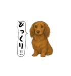 アクションk-gigi29（個別スタンプ：4）