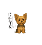 アクションk-gigi29（個別スタンプ：5）
