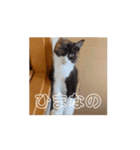 動くソイとチャイ（個別スタンプ：10）