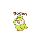 コザクラインコpistàcchio日常アニメ（個別スタンプ：2）