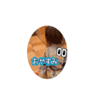 しおんとしゅり③（個別スタンプ：7）