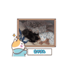 しおんとしゅり③（個別スタンプ：11）