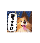 AI王子くんのお喋りスタンプ①（個別スタンプ：14）