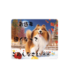AI王子くんのお喋りスタンプ①（個別スタンプ：15）