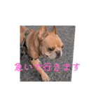 せいがくスタンプ2（個別スタンプ：3）