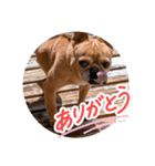 せいがくスタンプ2（個別スタンプ：8）