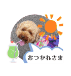 黒さきプリン Circle（個別スタンプ：7）