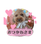 黒さきプリン Circle（個別スタンプ：8）