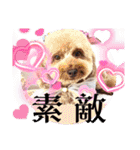 黒さきプリン Circle（個別スタンプ：18）
