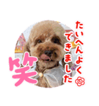 黒さきプリン Circle（個別スタンプ：28）