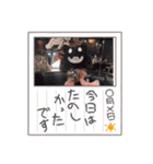 黒さきプリン Circle（個別スタンプ：33）