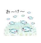 さかなの歌い方（個別スタンプ：11）