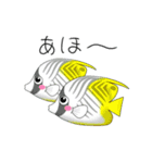 さかなの歌い方（個別スタンプ：14）