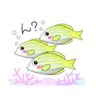 さかなの歌い方（個別スタンプ：16）